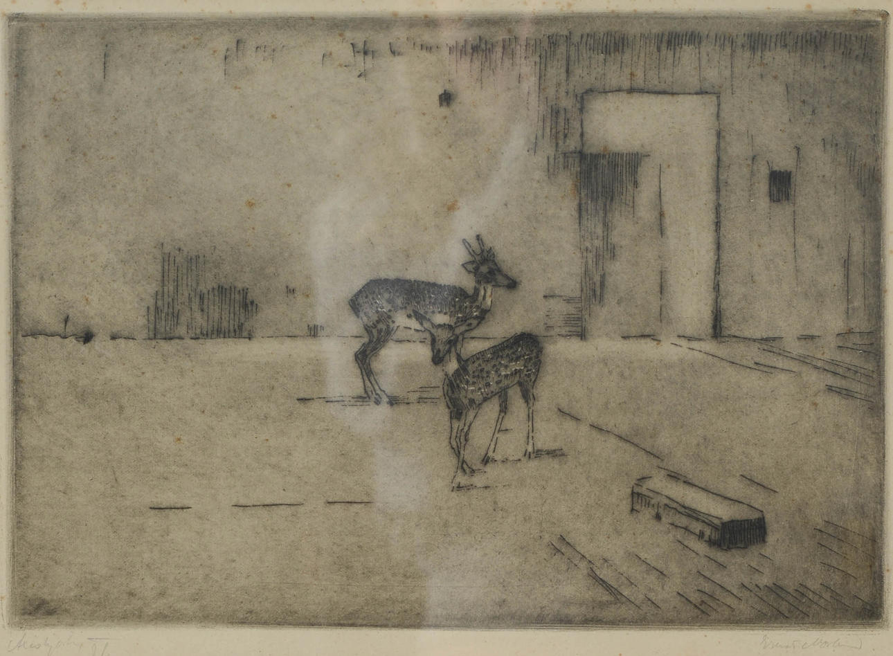 ERNST NORLIND. "Axishjort", etching, signed.