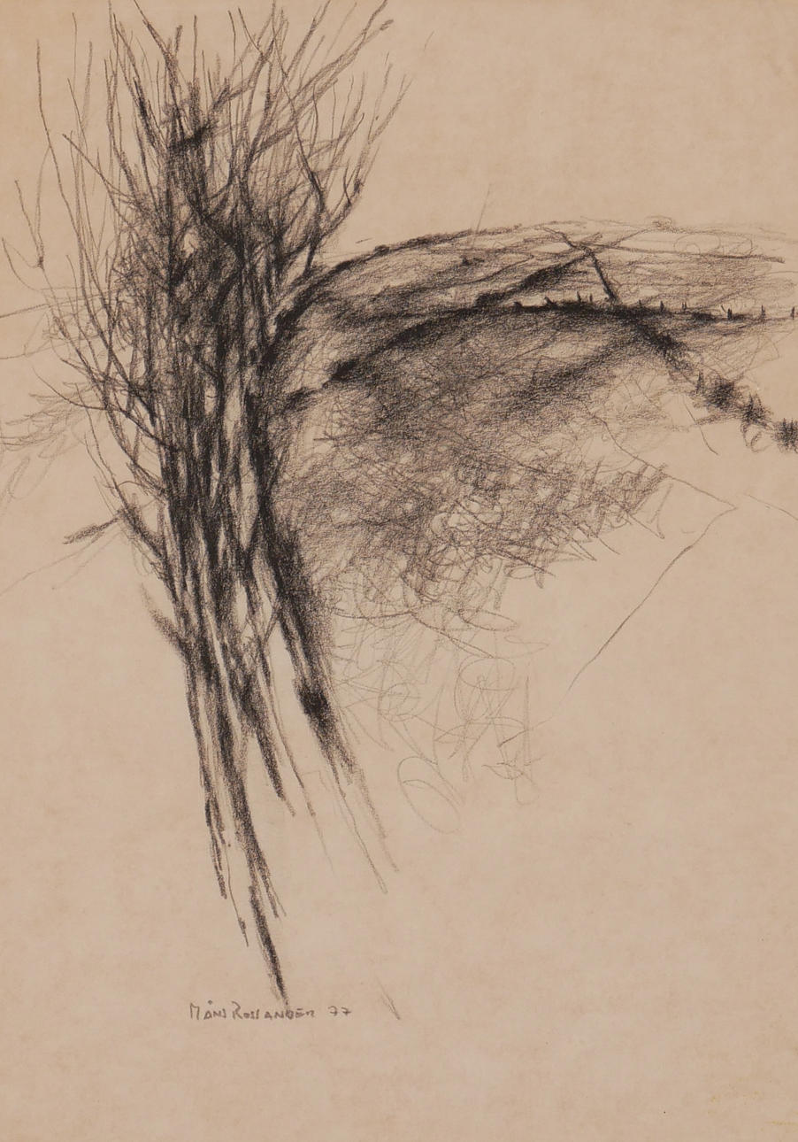 MÅNS ROSSANDER. Drawing, signed Måns Rossander 77.