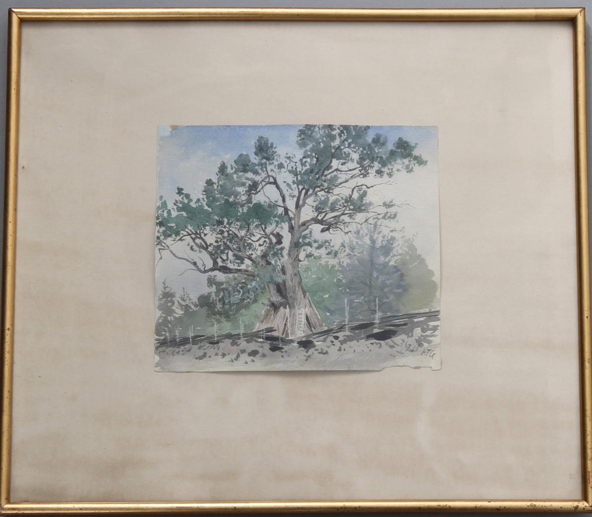 ALBERT THEODOR GELLERSTEDT. "Den gamla eken", akvarell, monogramsignerad samt daterad 5/7 86.