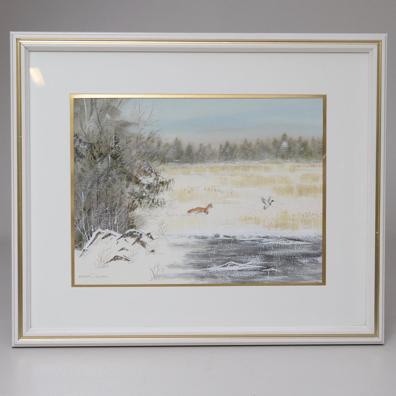 KENNETH LINDGREN. RÄV JAGANDE SJÖFÅGEL.