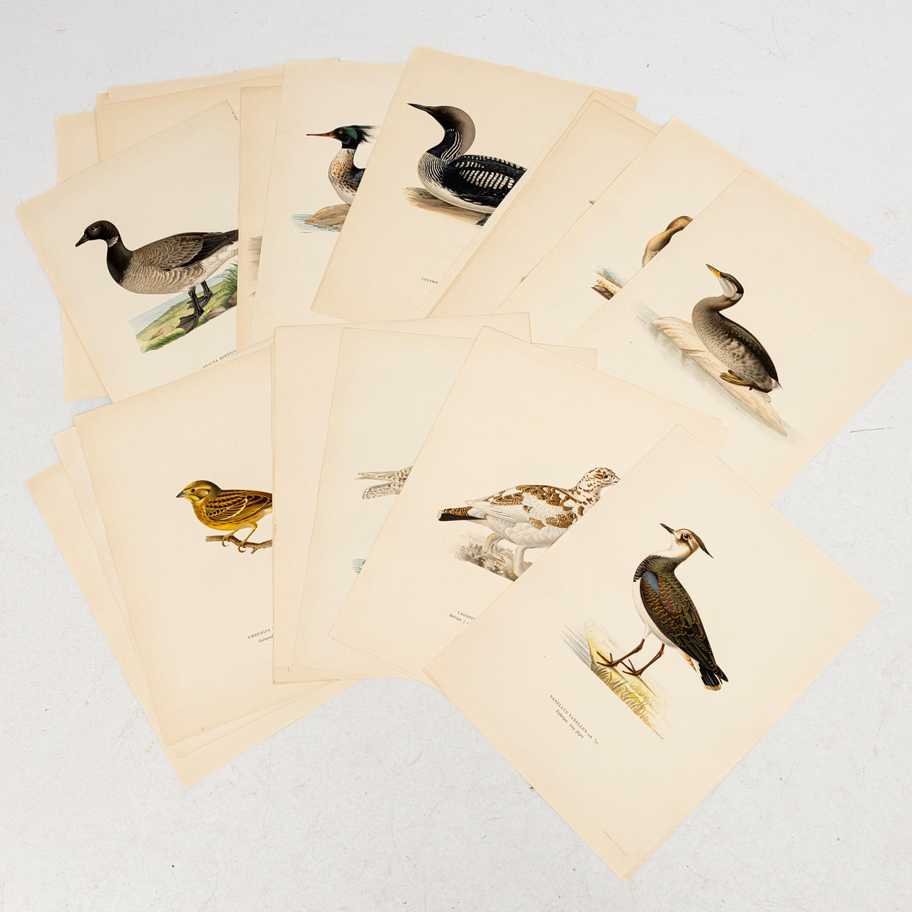 THE WRIGHT BROTHERS, 31 colour lithographic sheets, M v Wright, A Börtzells Tr Ab Stockholm.