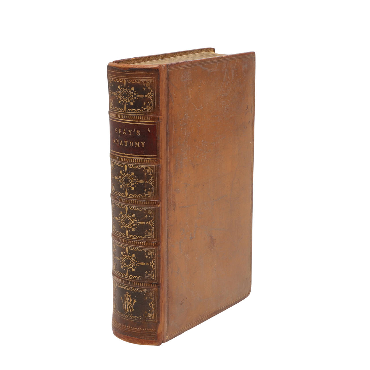 HENRY GRAY. Anatomy Descriptive and Surgical, 1858.