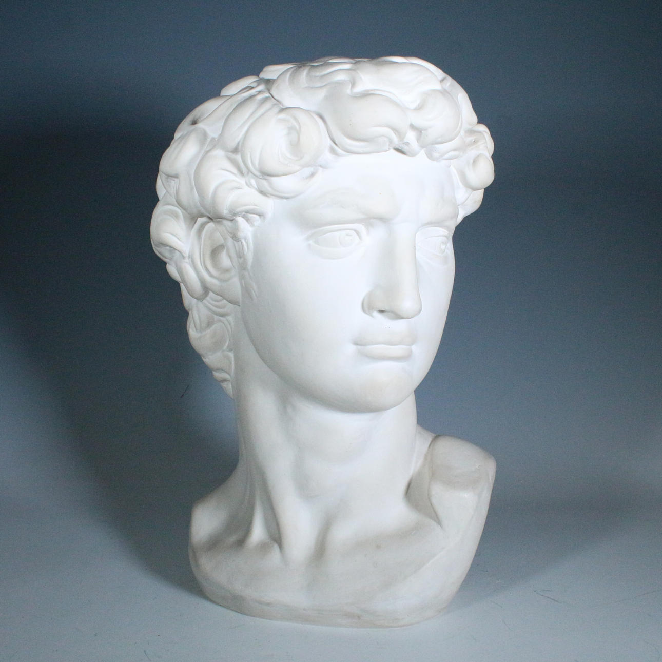 Bust-head of “David”.