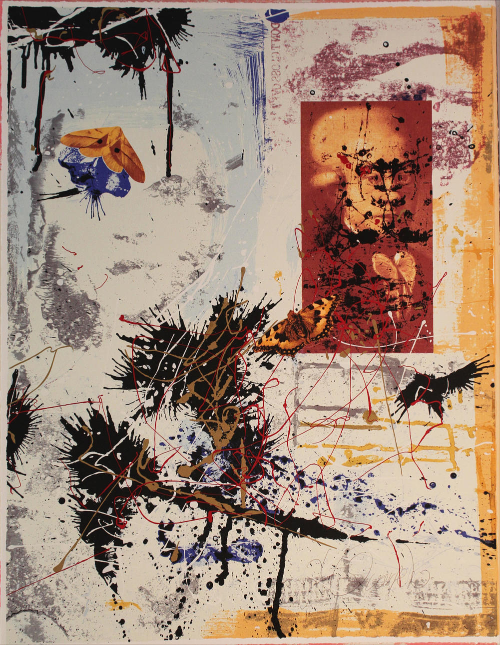 MIKAEL QVARSEBO. Fjärilar. Färglitografi. Signerad M Qvarsebo.