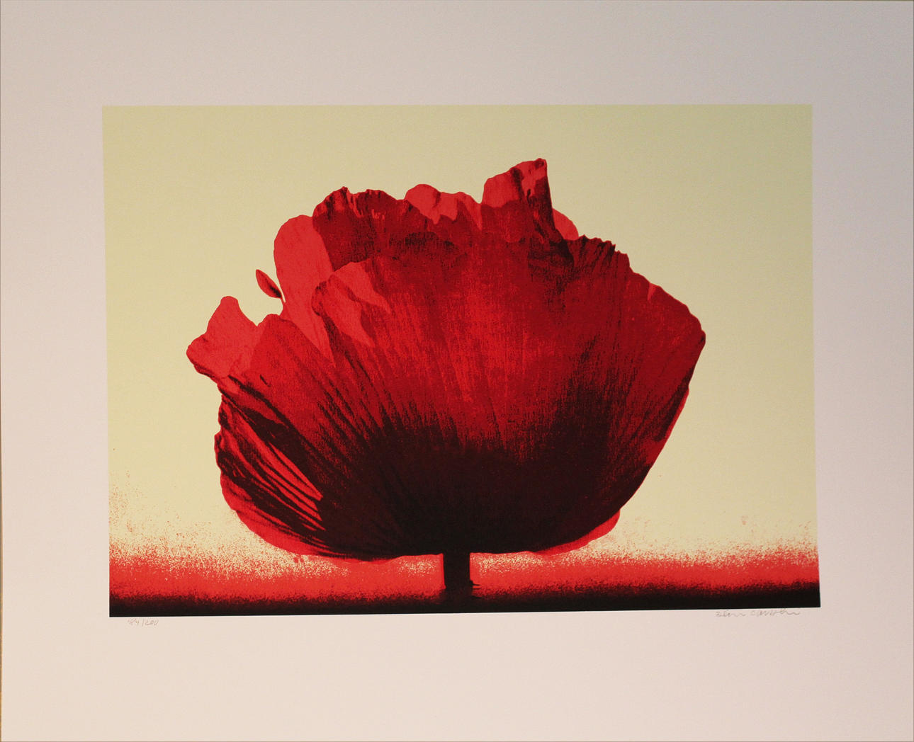 DICK CLEVESTAM. Vallmo. Färgserigrafi. Signerad. 184/200.