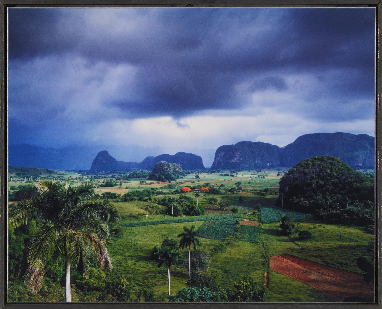BENT REJ (DAN 1940-2016). Vinales, Cuba.
