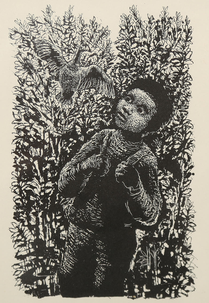 AFTER KAARE ESPOLIN JOHNSON. Graphical section, numbered and dated 64.