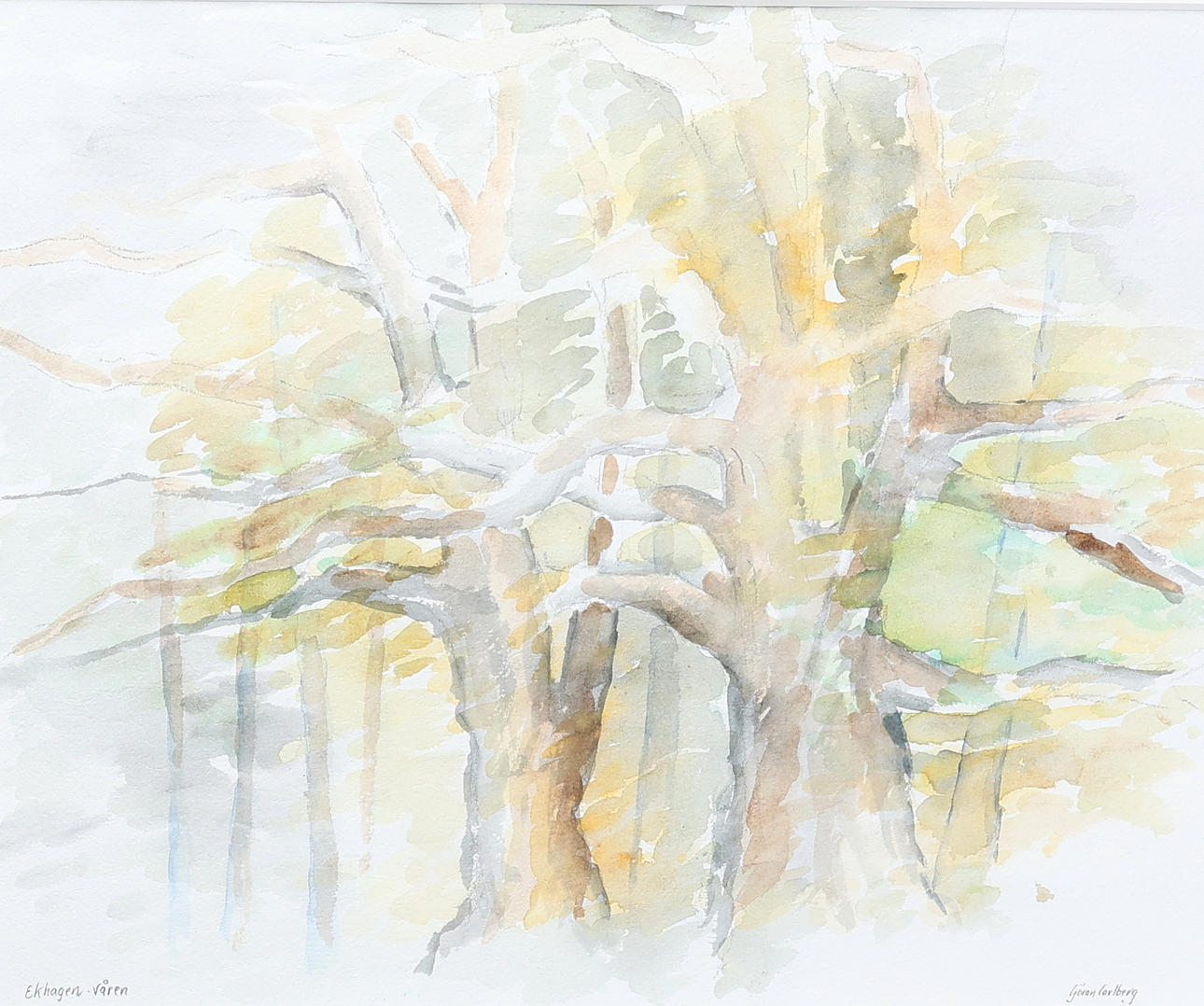 GÖRAN CARLBERG. Watercolour, “Ekhagen Spring”, signed.