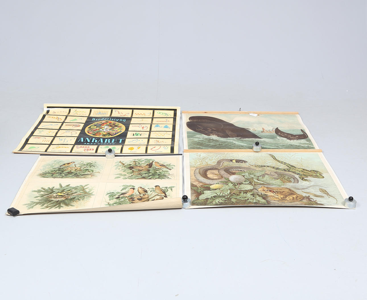 SCHOOL PLANKS, 4 pcs, including snakes and frogs.