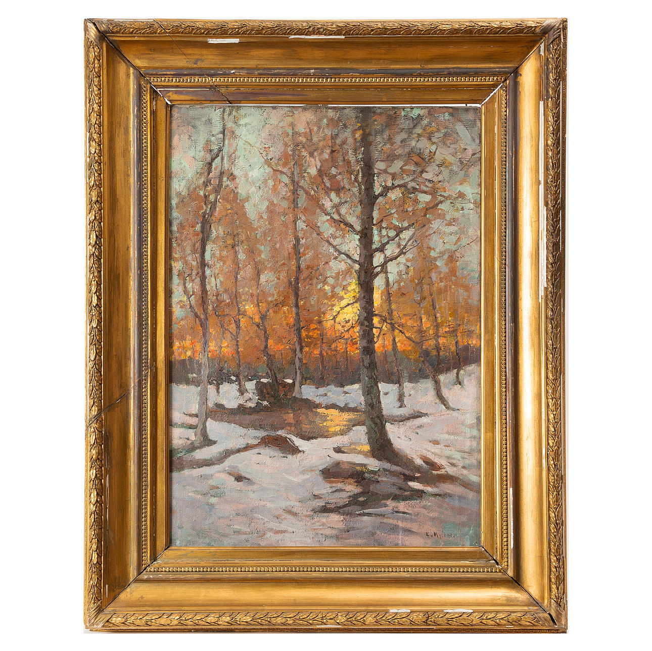 ESTHER KJERNER. Forest in evening light.