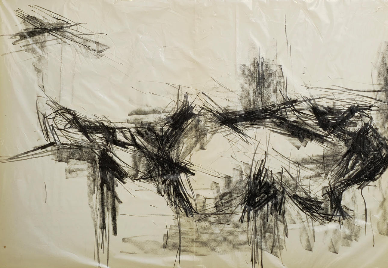 GERARD FROMANGER. LITHOGRAPHY MELRIERE LE MIRROIR.