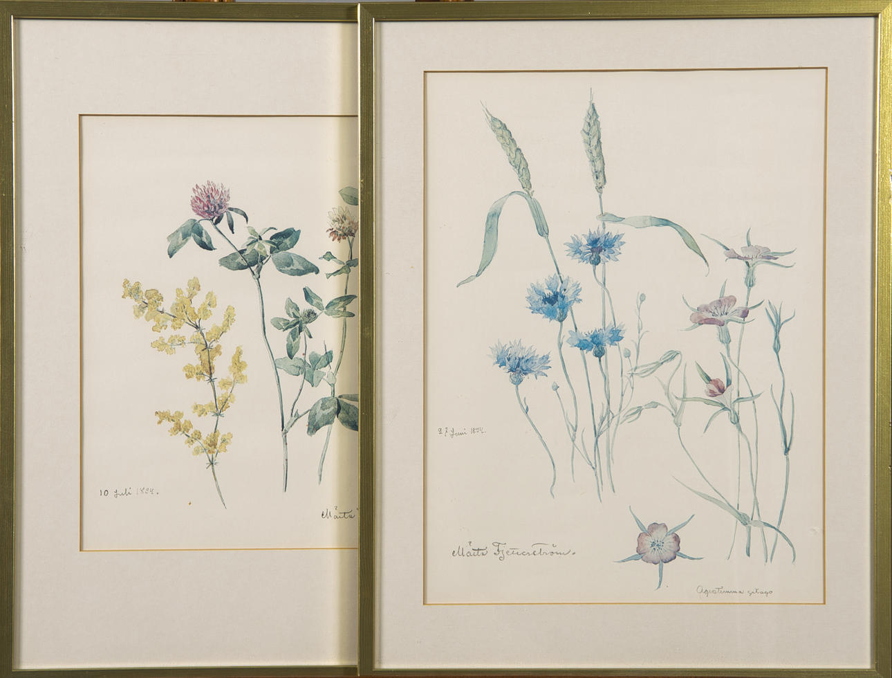 MÄRTA FJETTERSTRÖM. Blomsterbilder, 2 stycken tryck.