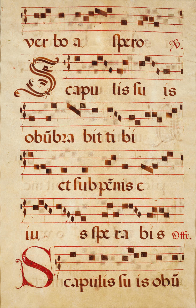 ANTIFONARIUM, 1600/1700, on parchment.