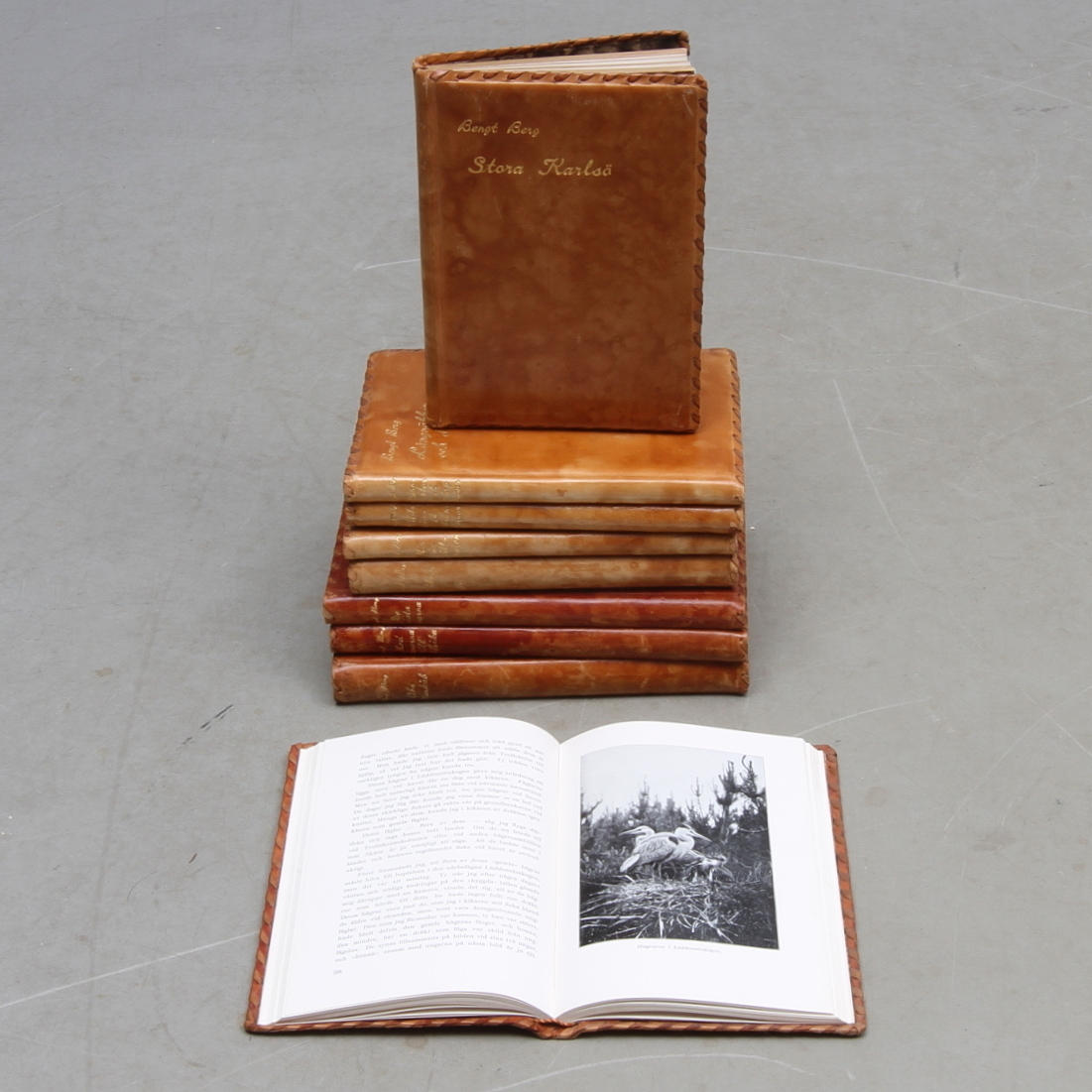 BÖCKER, 9 volymer, djur och natur, Bengt Berg, Norstedt & Söners Förlag, Stockholm 1923-1925.