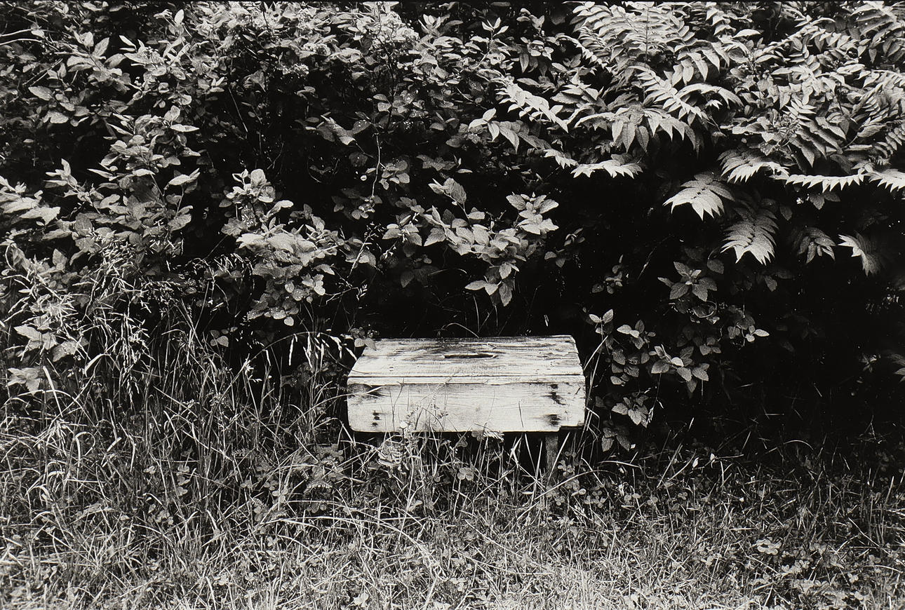 NILS-ERIK WIKEBÄCK. Stool in vegetation.