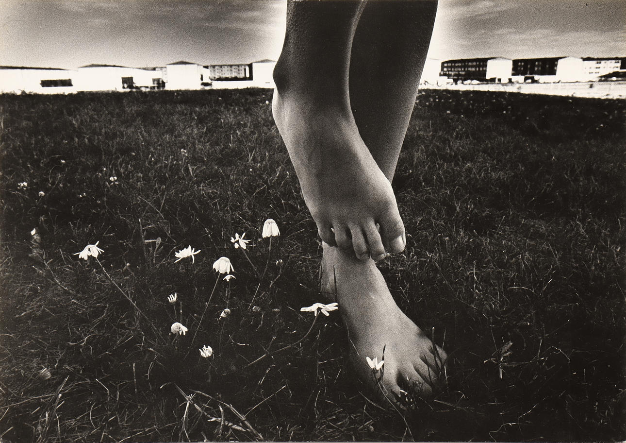 NILS-ERIK WIKEBÄCK. “Fringe”.