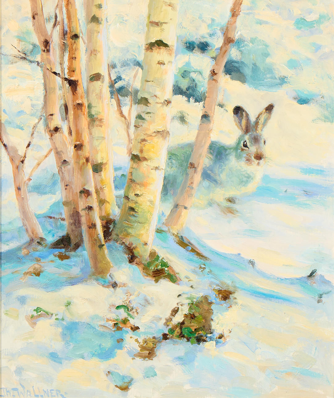 THURE WALLNER. Hare in snow.