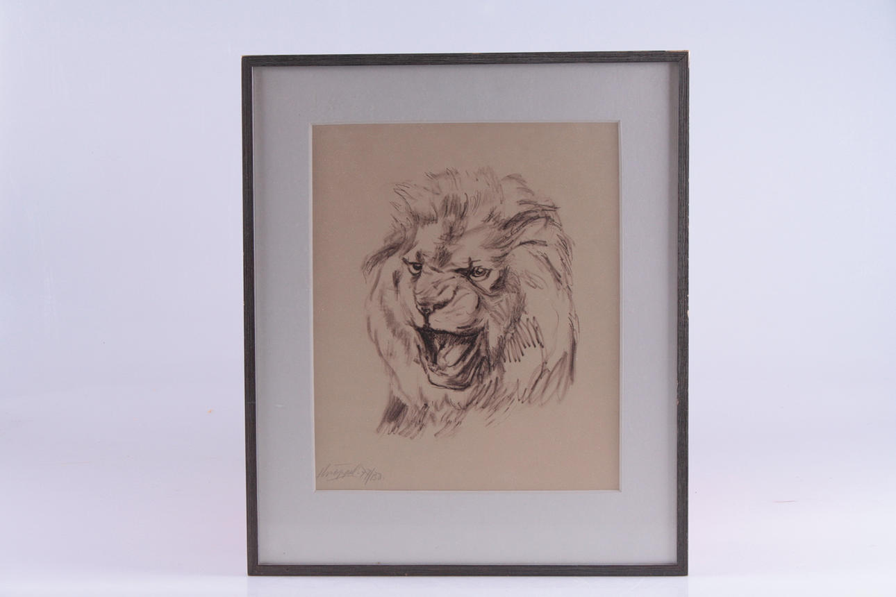 ARVID KNÖPPEL. litografi, lejon, signerad i blyerts, numrerad.