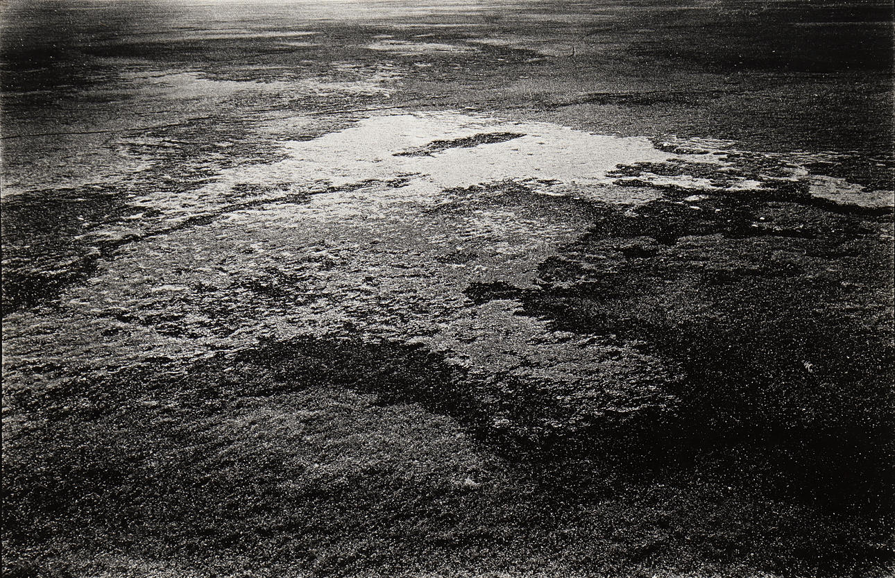 NILS-ERIK WIKEBÄCK. “Spring/Landscape”.