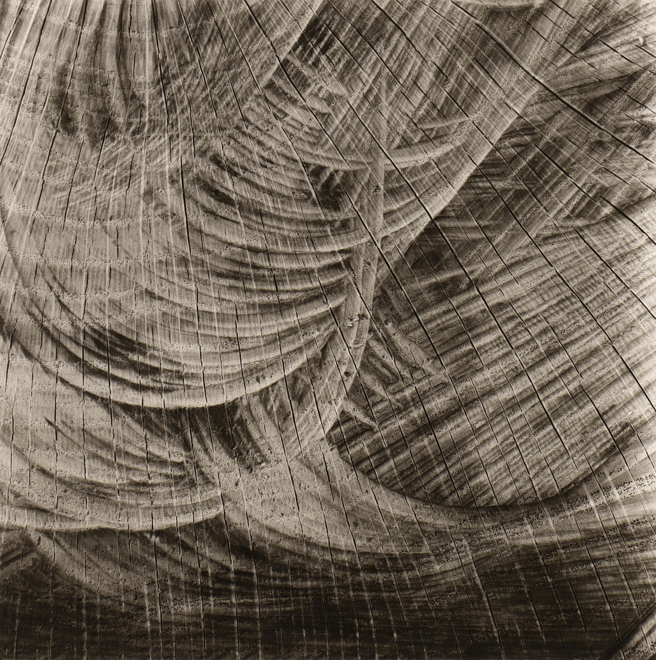 NILS-ERIK WIKEBÄCK. Untitled.