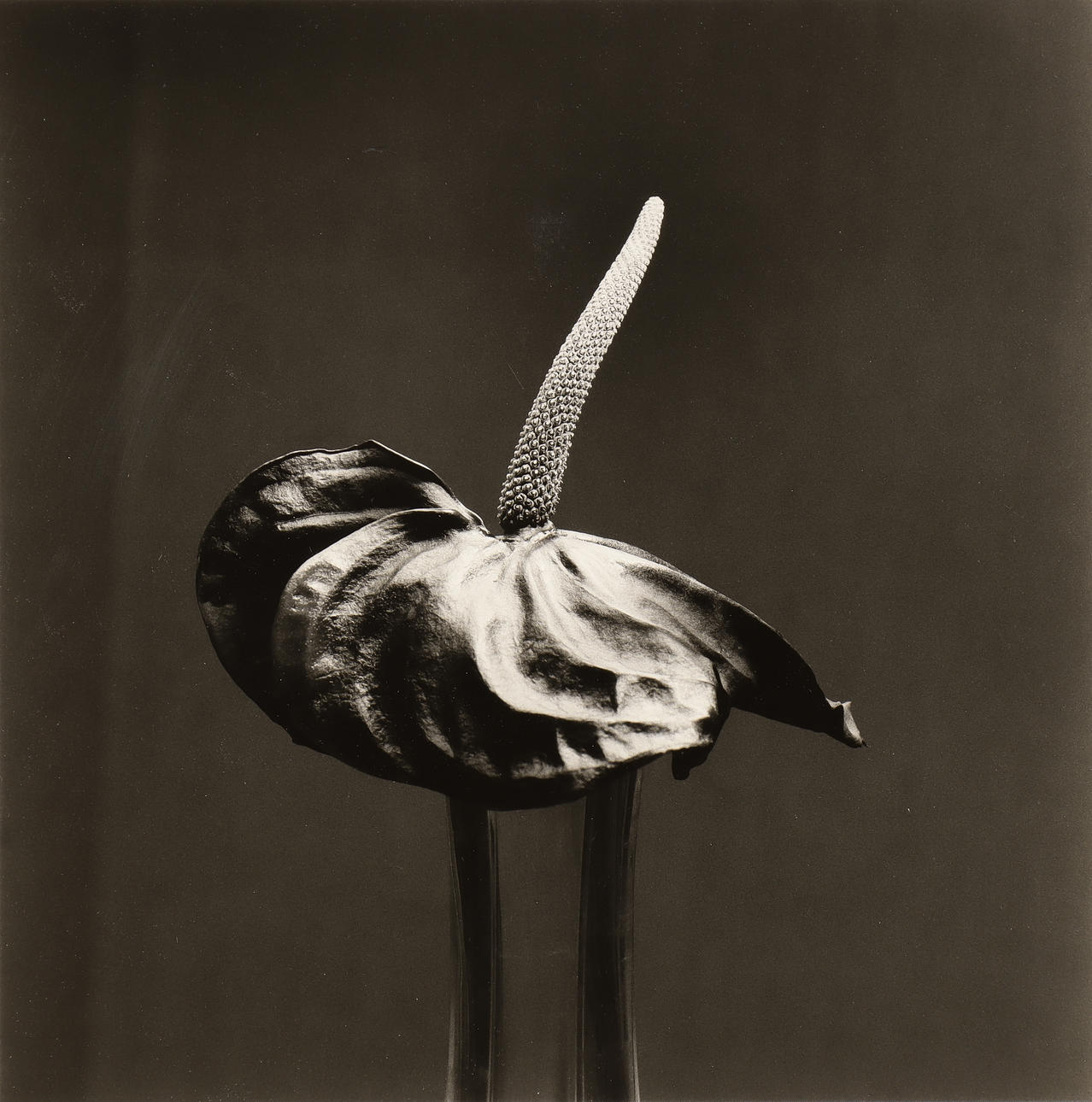 NILS-ERIK WIKEBÄCK. Untitled.