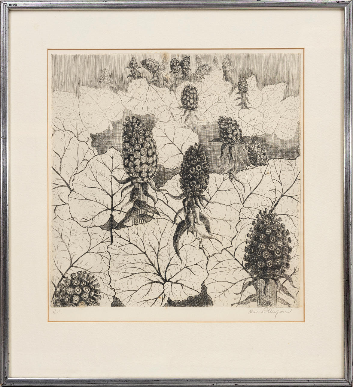 MARIA HILLFON. Floral composition, etching, signed, H.C.