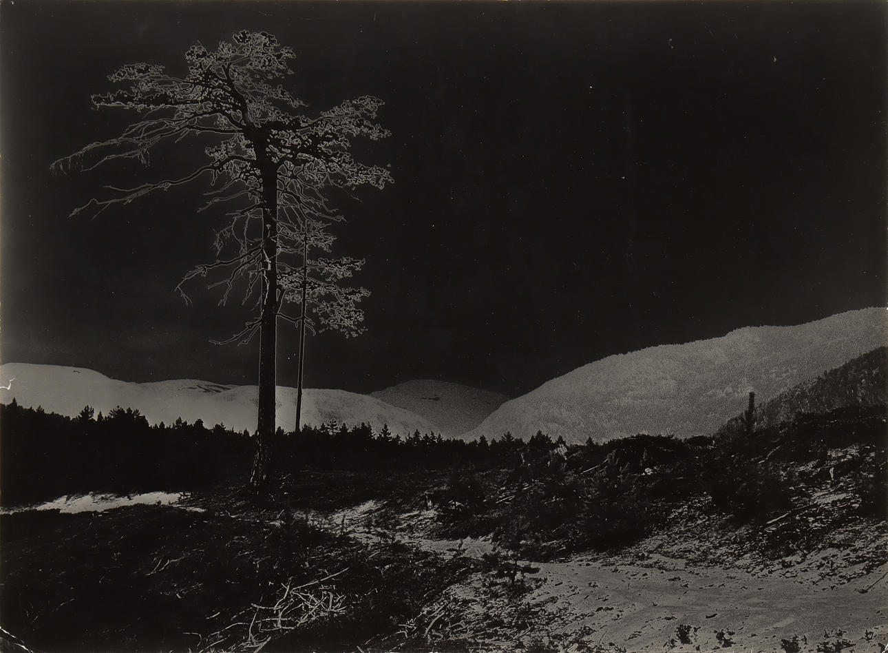 NILS-ERIK WIKEBÄCK. Landscapes.