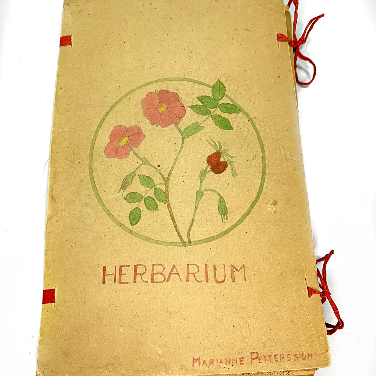 HERBARIUM - Dated 1932, 19 sheets.