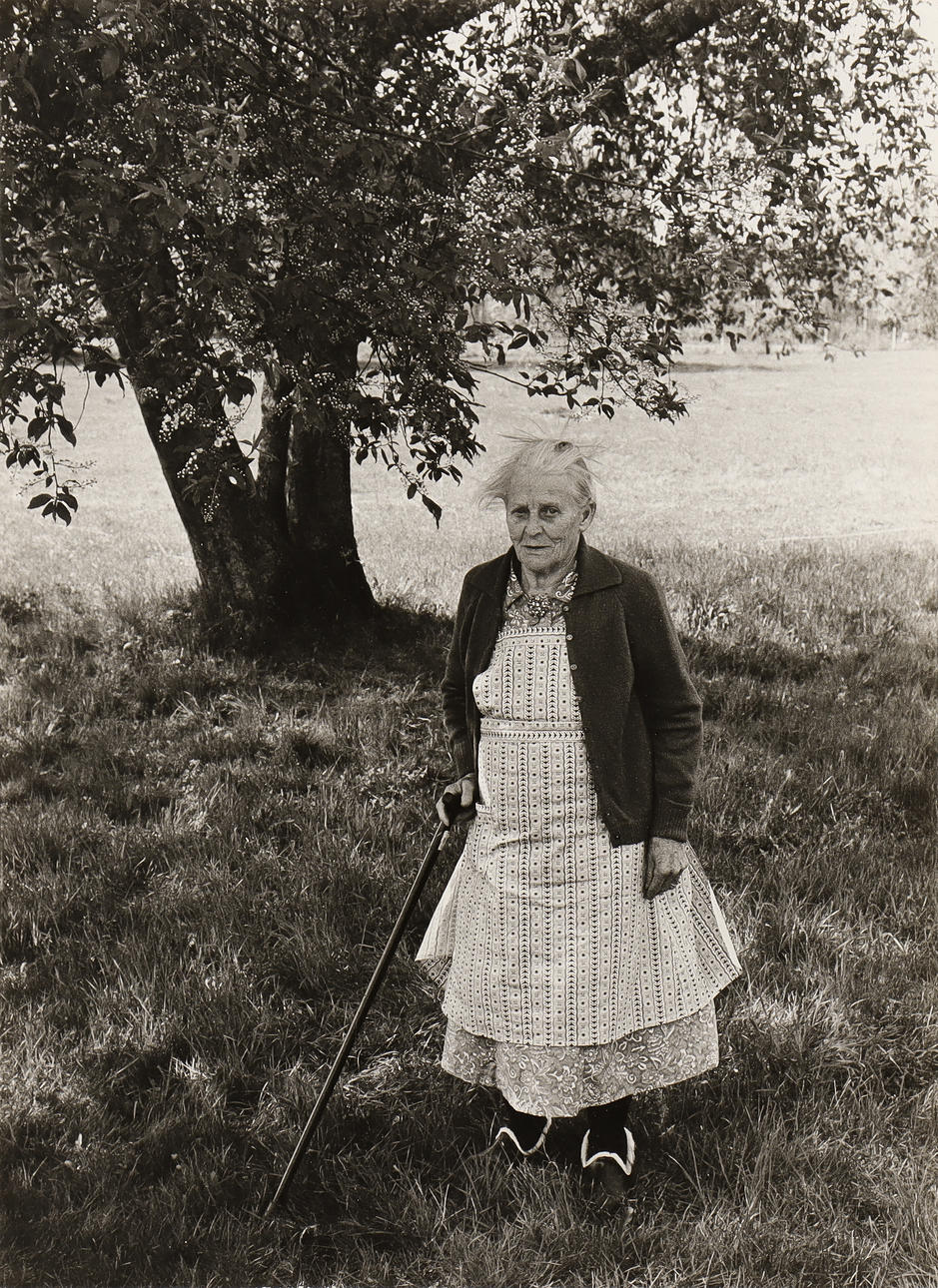 NILS-ERIK WIKEBÄCK. Elderly woman by tree.