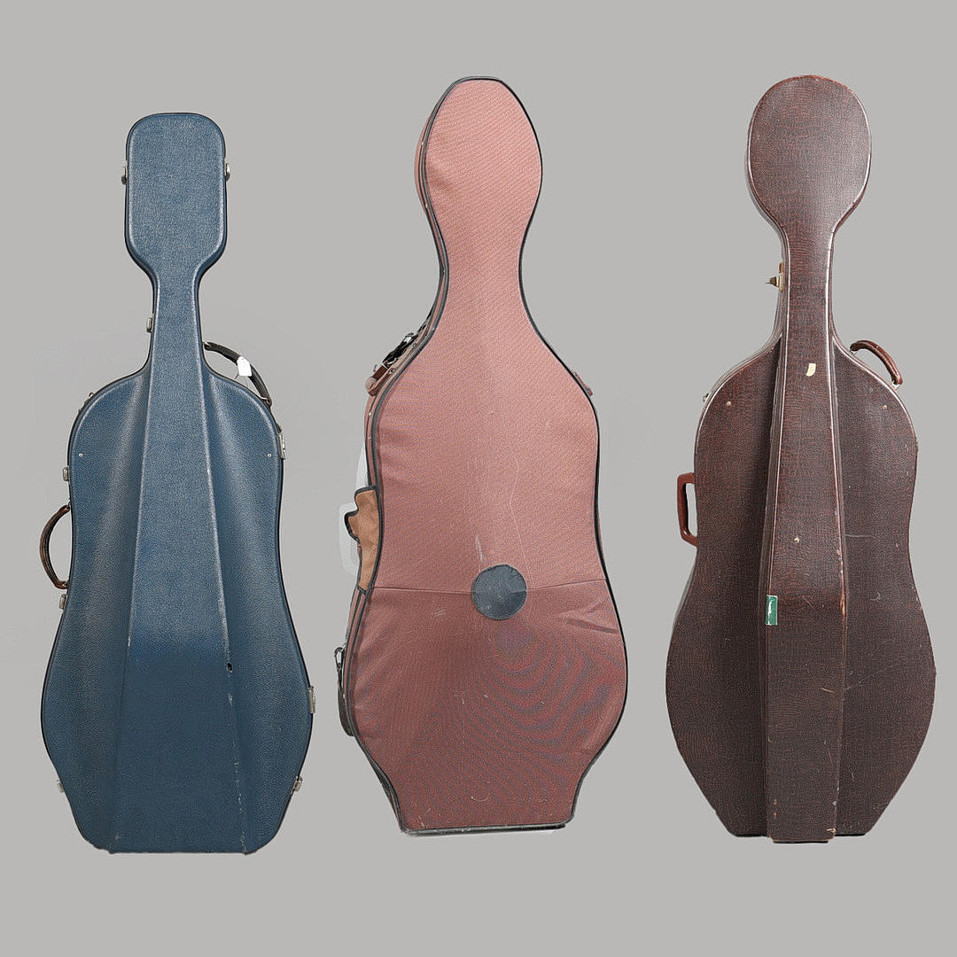 CINCO ESTUCHES PARA VIOLONCHELO 4/4 (5).