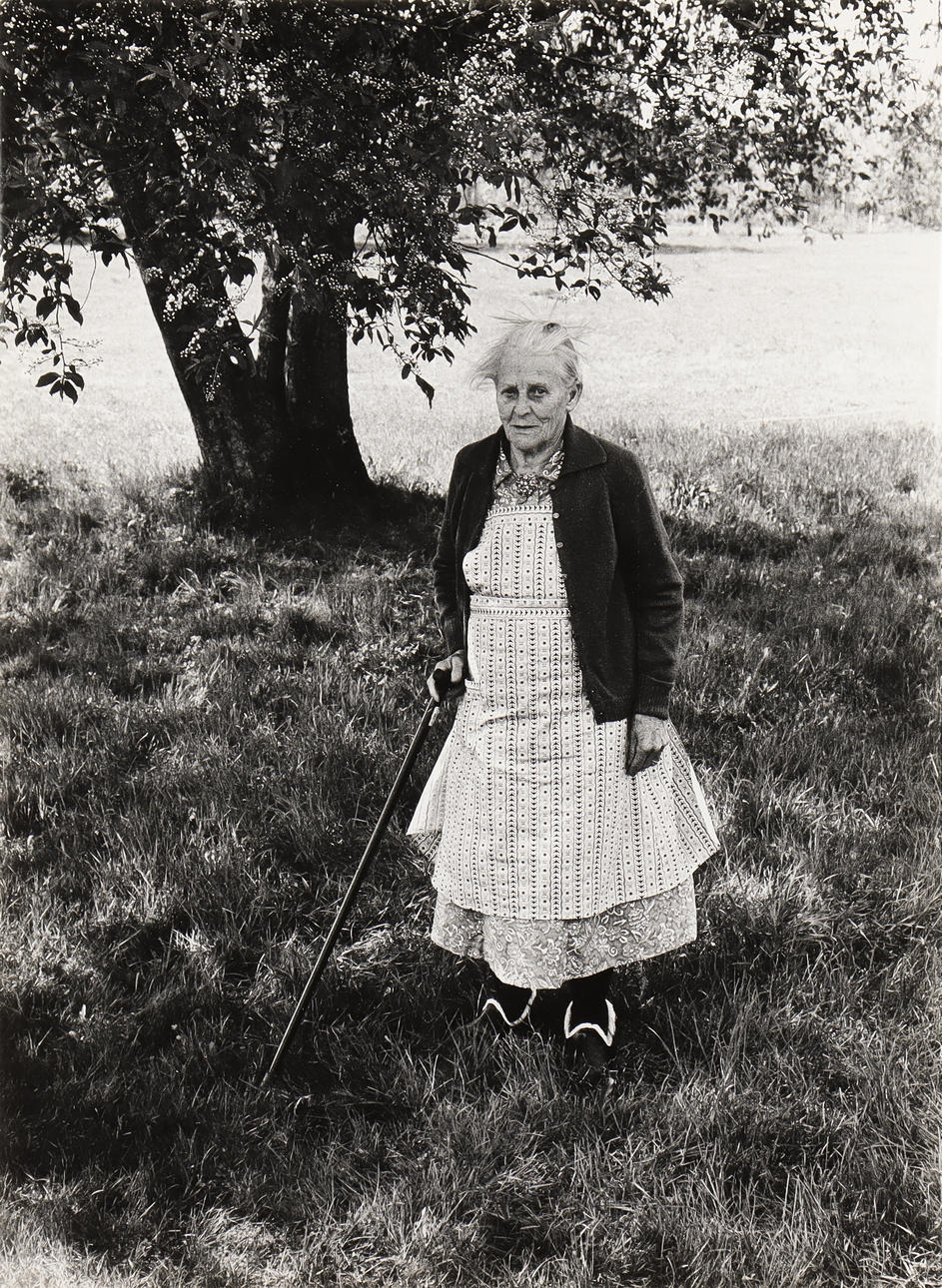 NILS-ERIK WIKEBÄCK. Elderly woman by tree.