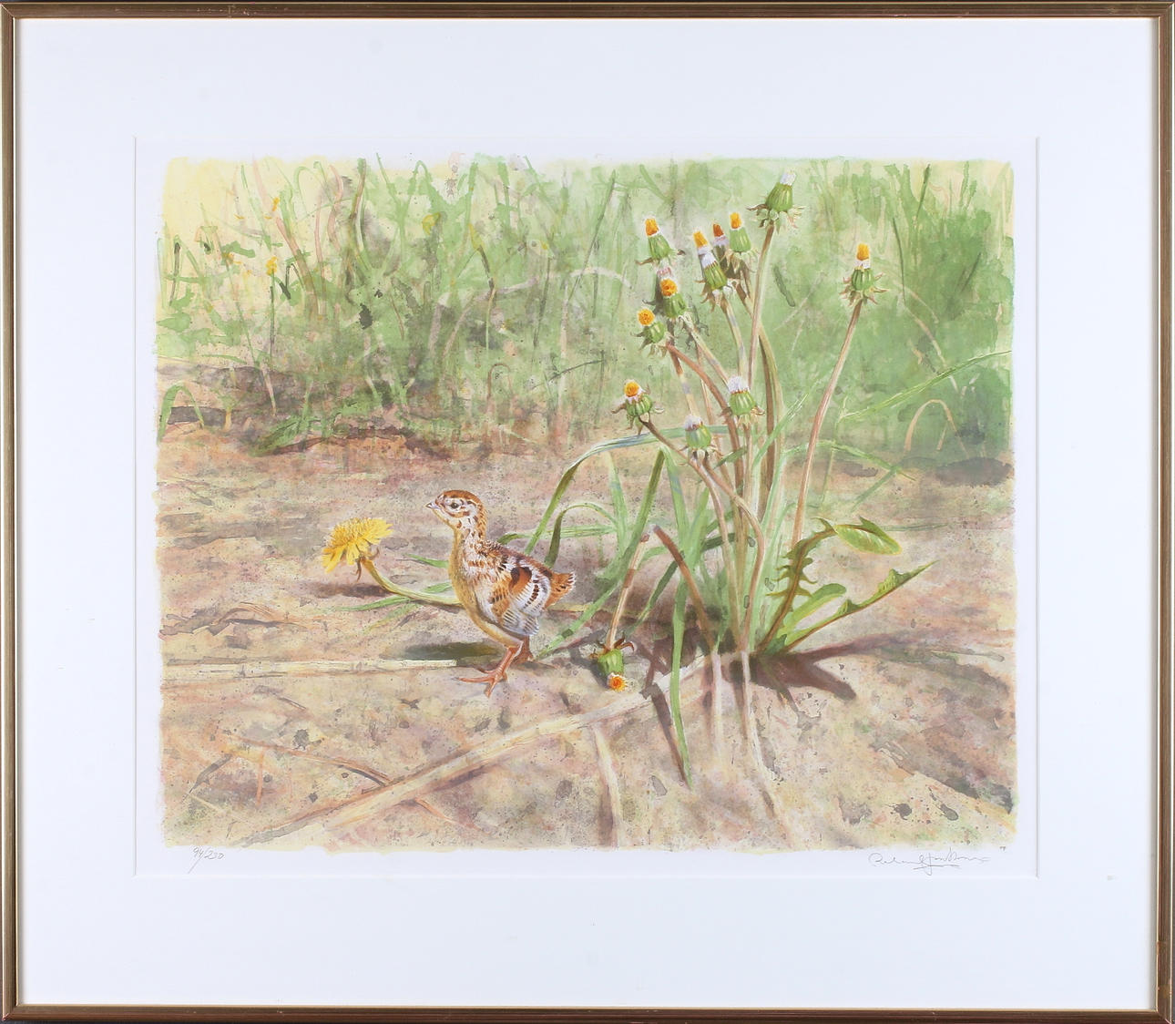 ROLAND JONSSON. Kalkonkyckling, färglitografi, signerad och numrerad 94/230.