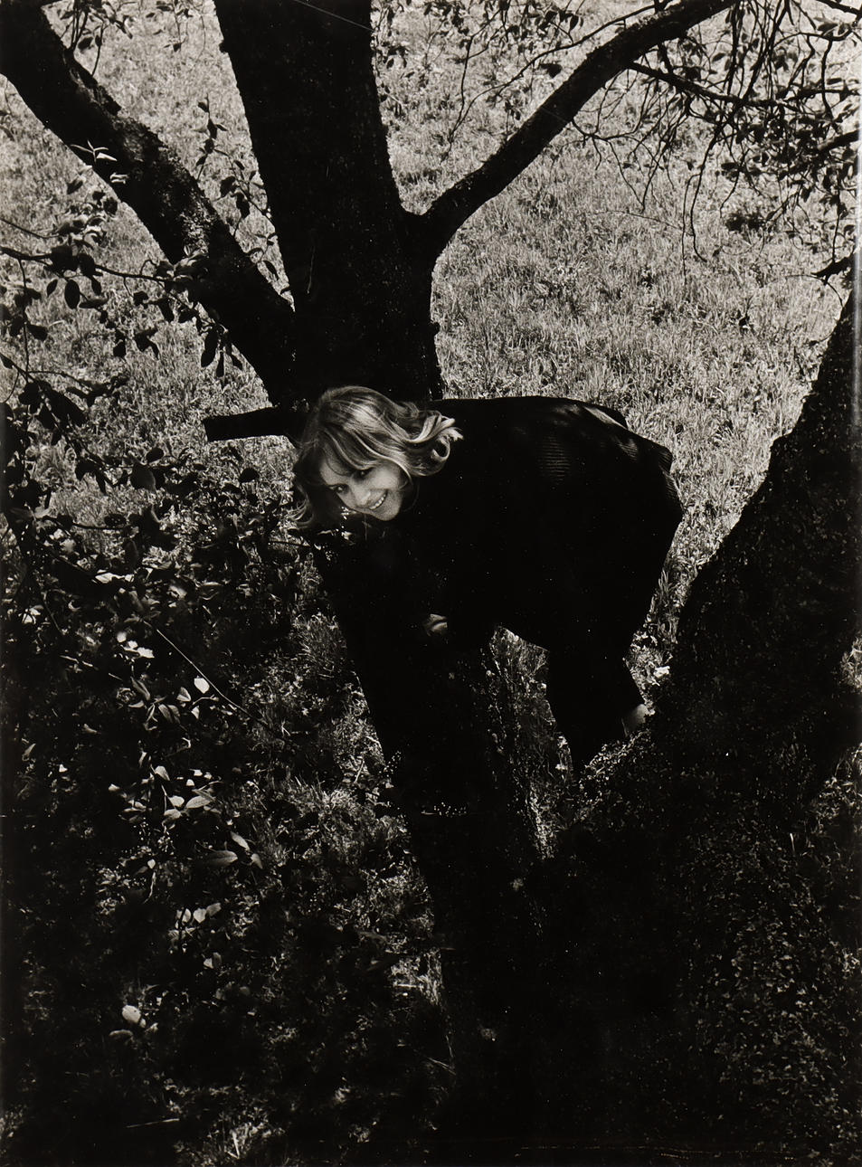 NILS-ERIK WIKEBÄCK. Kvinna i träd.