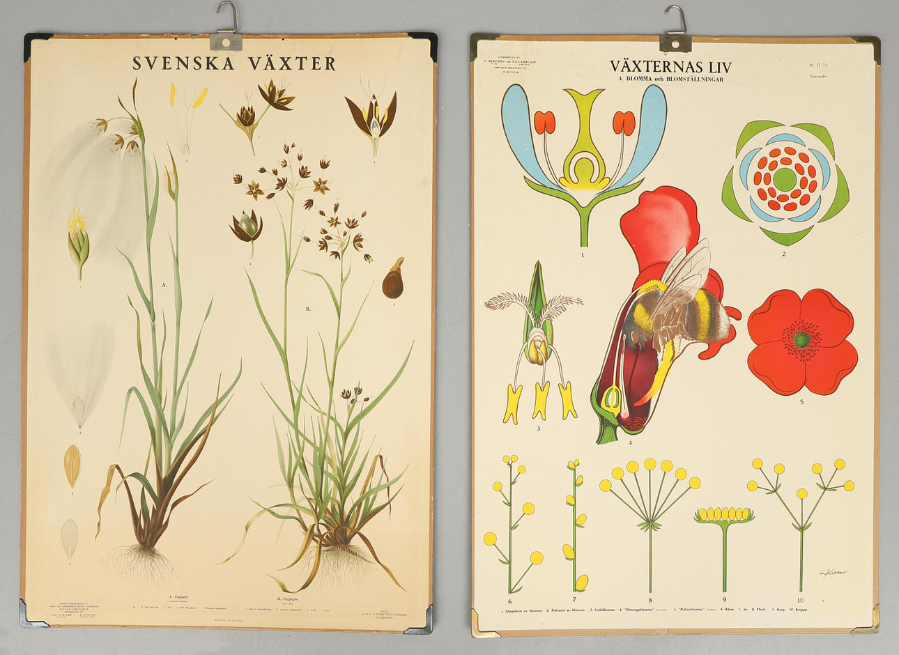 SKOLPLANSCHER, 2 st, Norstedts.