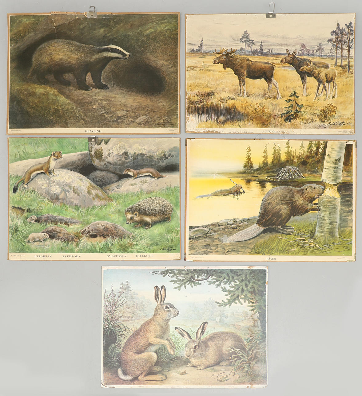 SCHOOL PLANS, 5 pcs, including P.A. Norstedt & Sons.