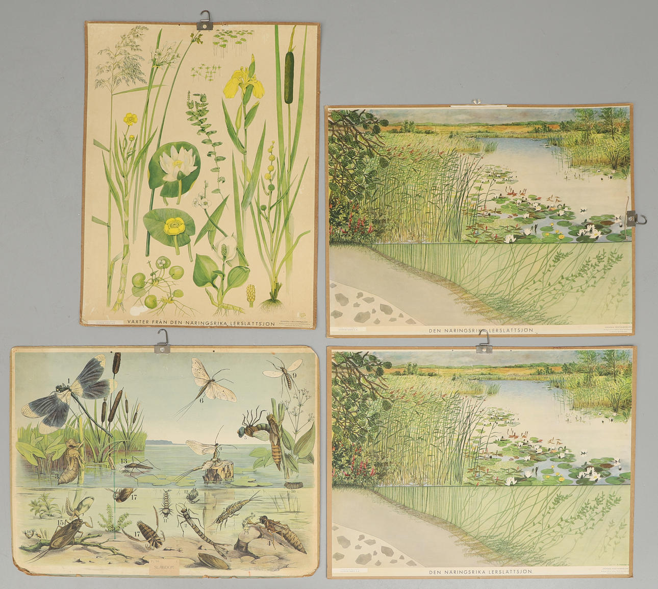 SKOLPLANSCHER, 4 st, bl.a. Gunnar Saietz.