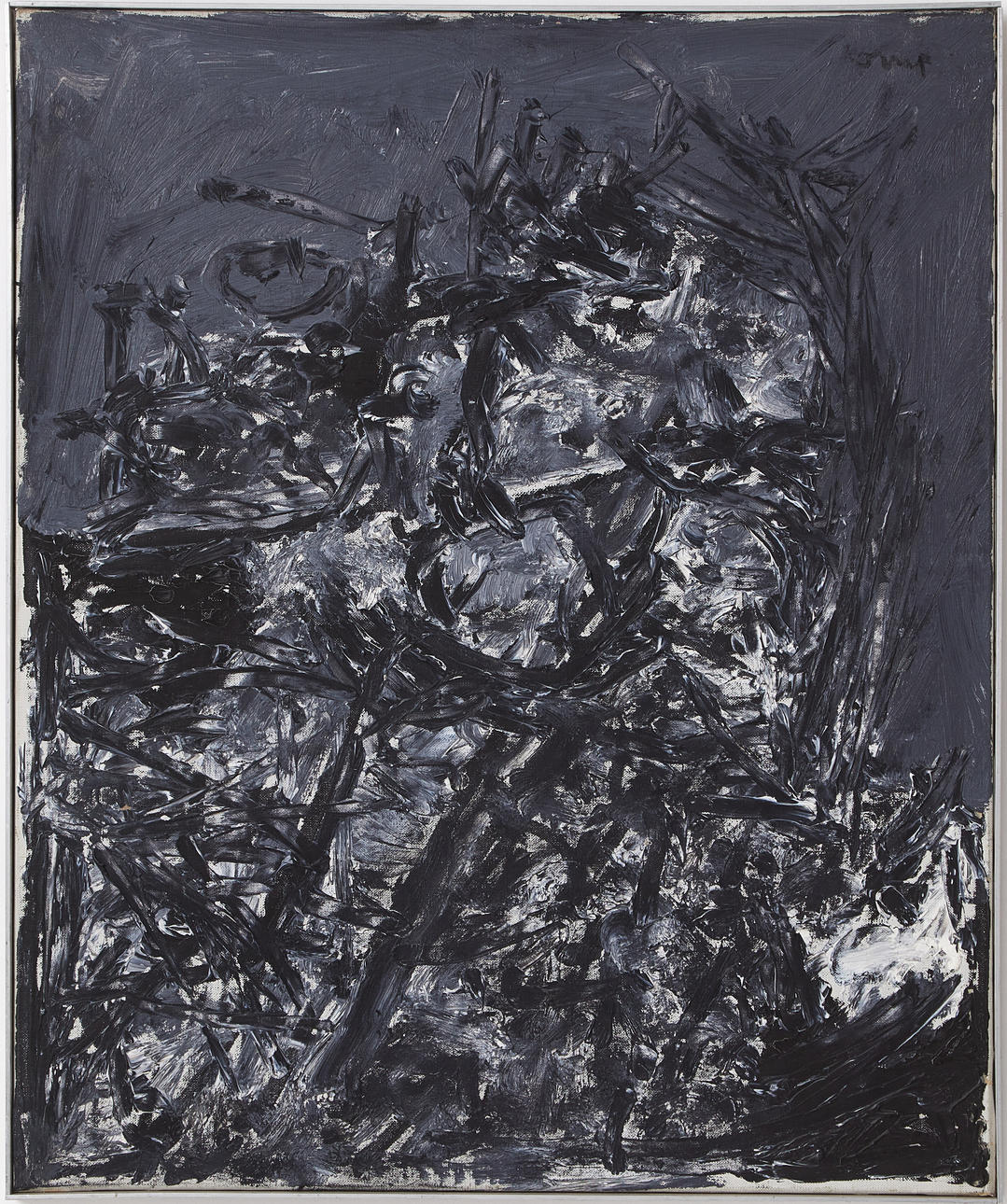 BENGT ORUP. “Vegetation”.