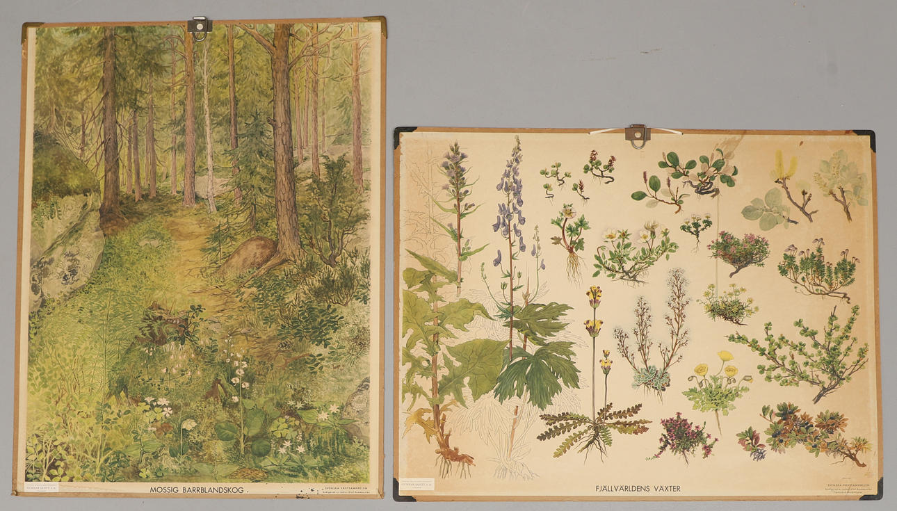 SKOLPLANSCHER, 2 st, Gunnar Saietz.