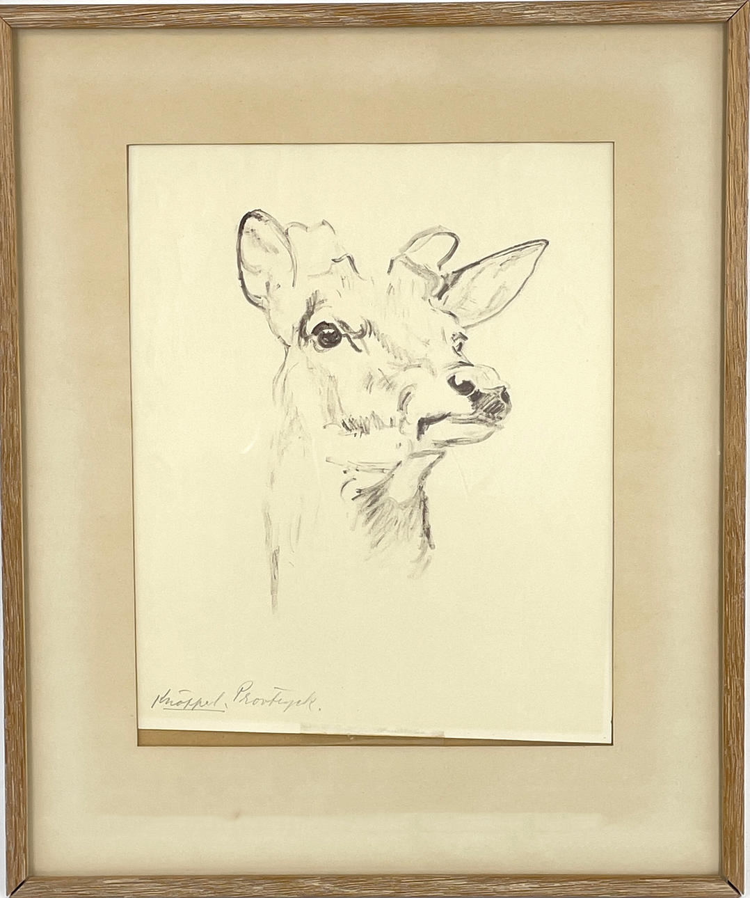 ARVID KNÖPPEL. Deer, lithograph, sample print, signed Knöppel.