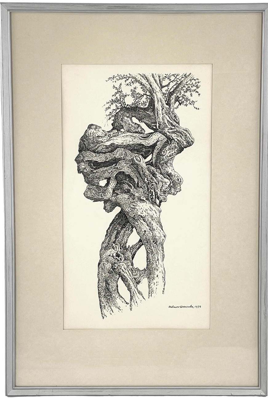 HELMER AVASALU. Olive tree, ink on paper, signed & dated 1974.