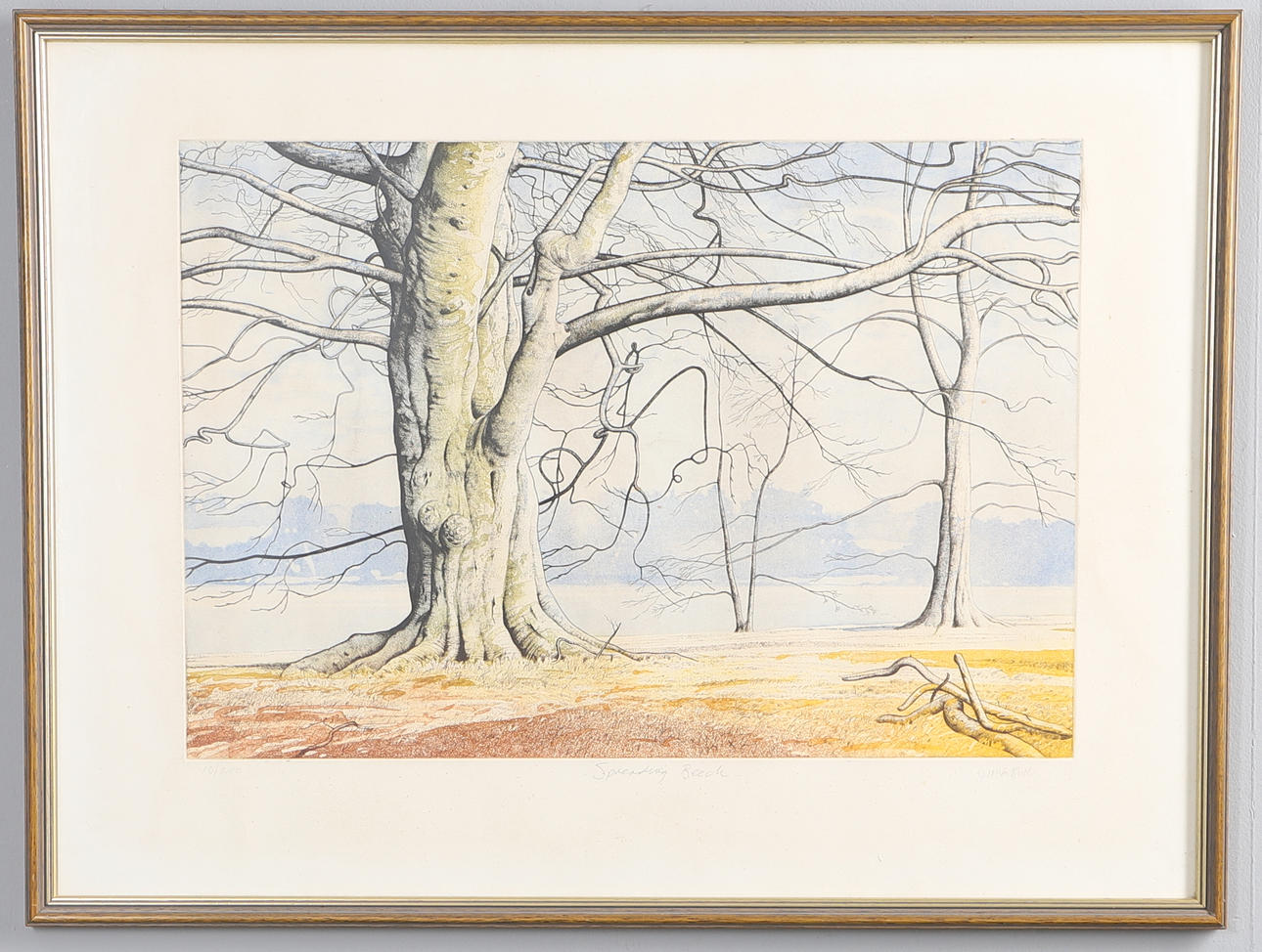 SIMON BULL (20TH CENTURY). 'SPREADING BEECH'.