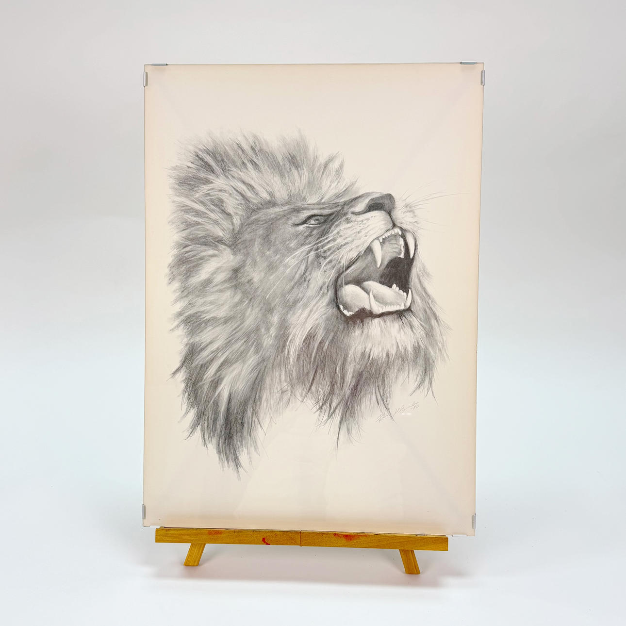 DRAWING PENCIL, Lion, signed and dated - 80.