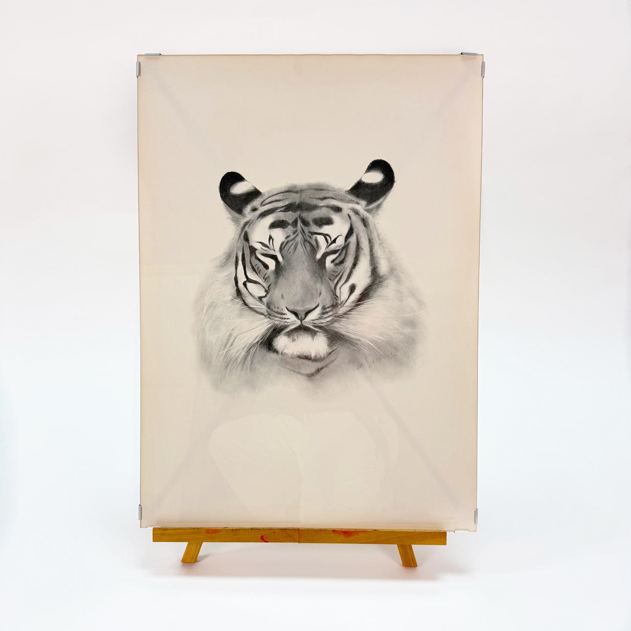 DRAWING PENCIL, tiger, unidentified artist, signed and dated - 79.