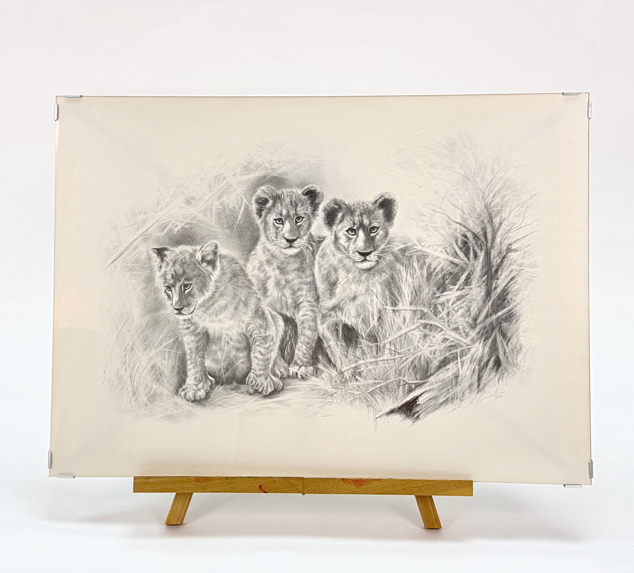 DRAWING PENCIL - Unknown artist. signed and dated - 79.