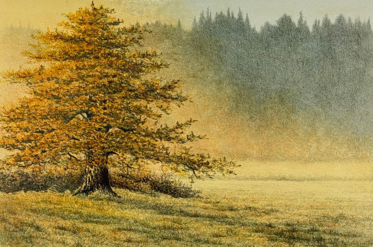 LEIF LILJEBLAD. Lithograph 622/630, 1950.