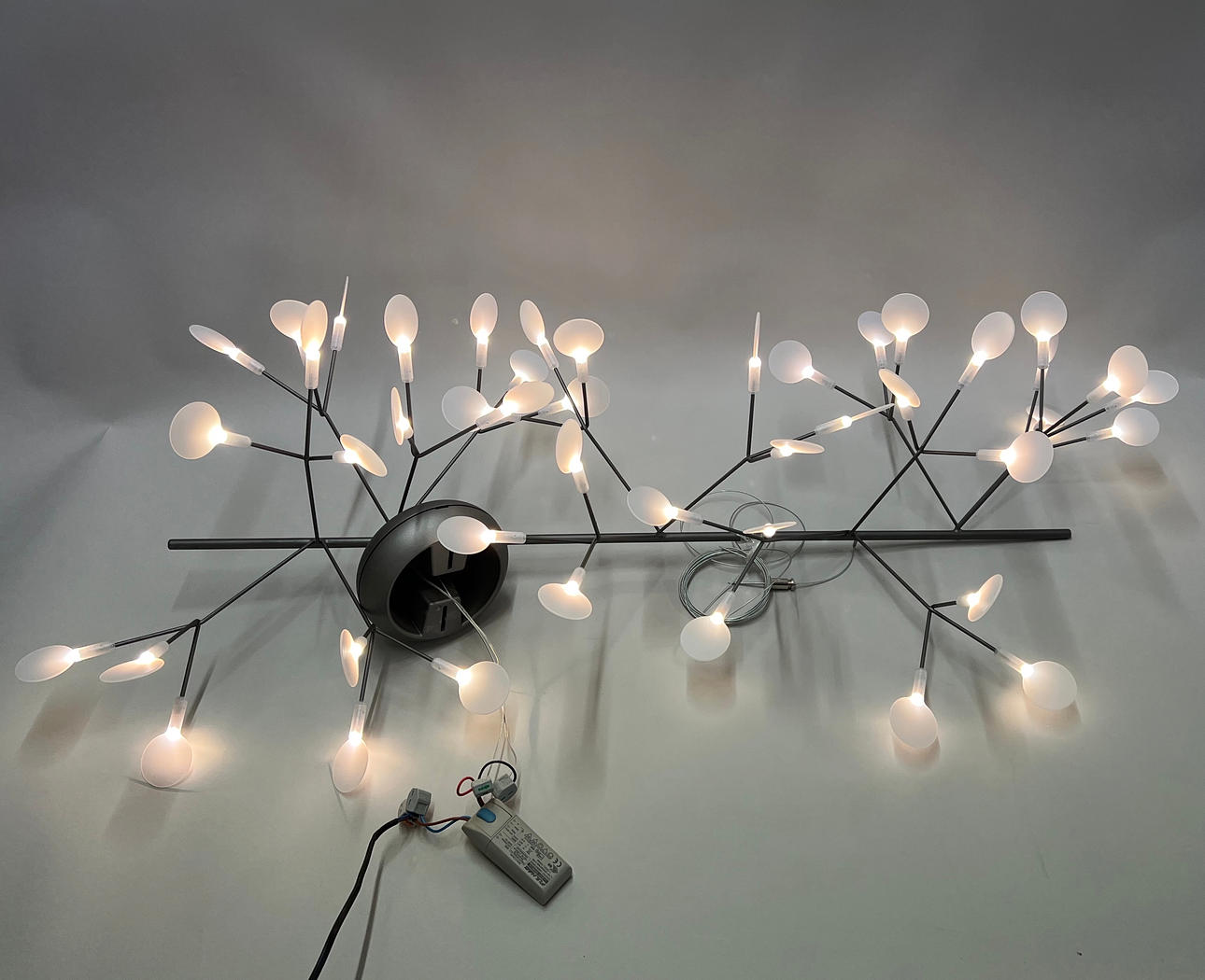 BERTJAN POT. MOOOI HERACLEUM ENDLESS.