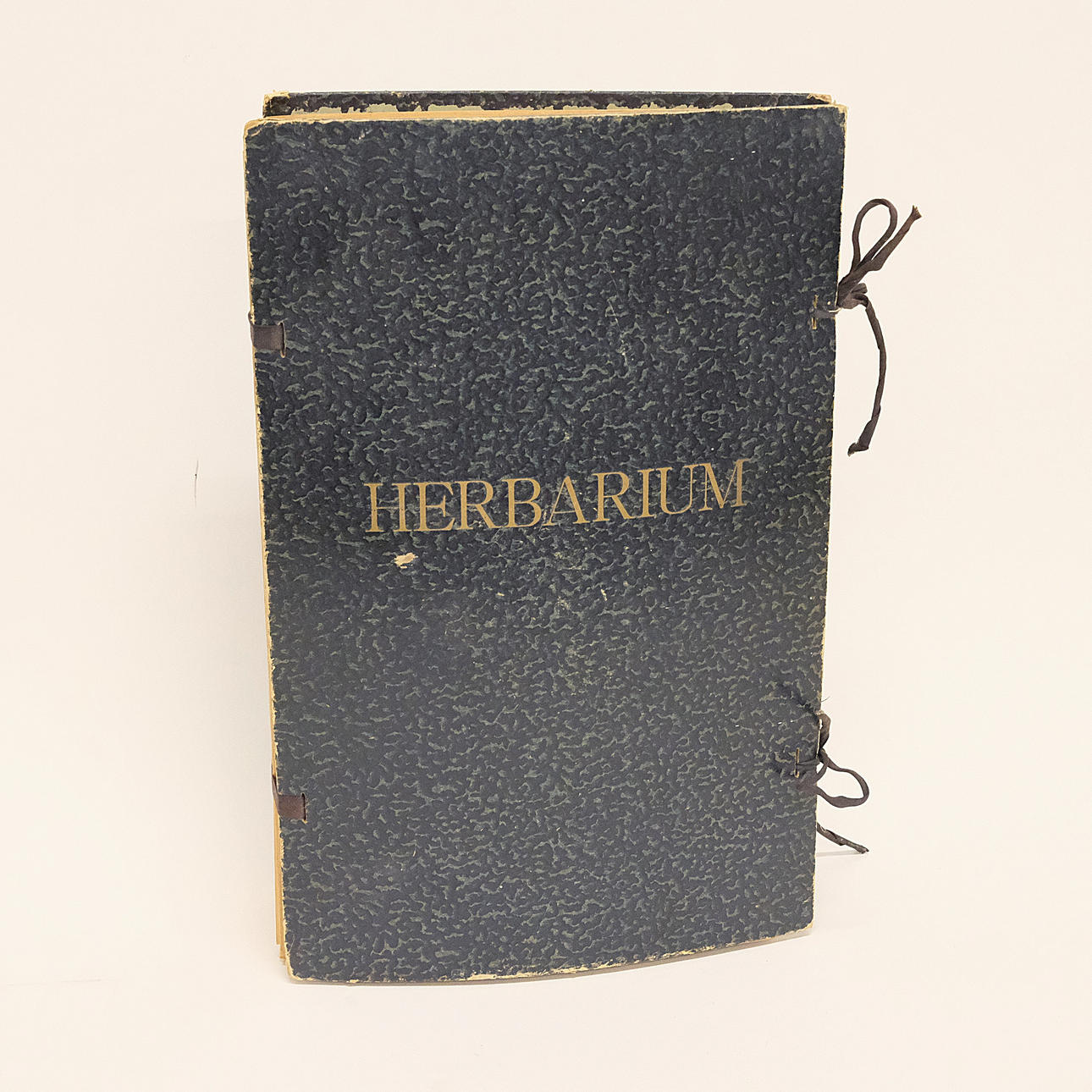 HERBARIUM.