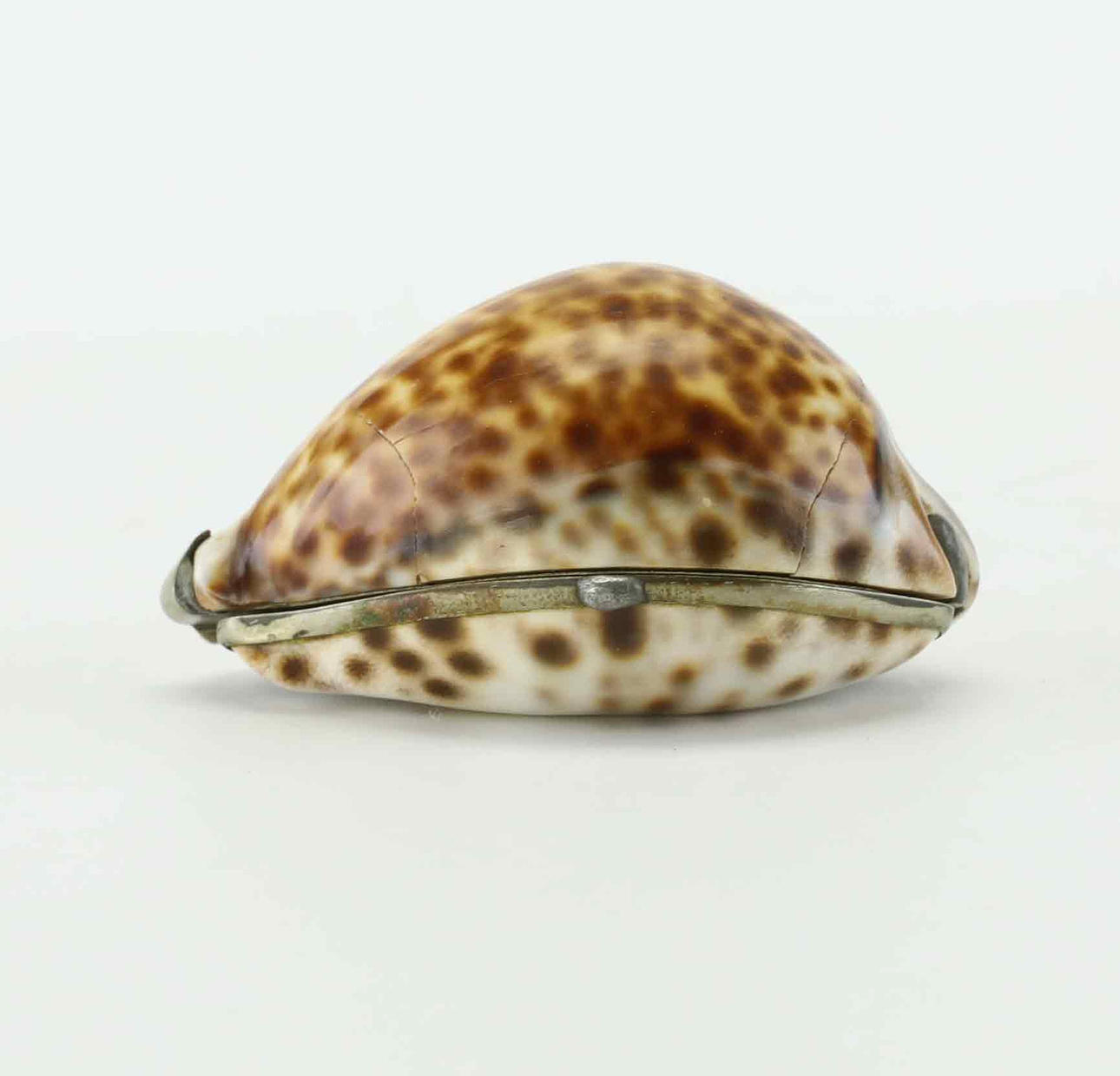 A seashell box, 19th century.