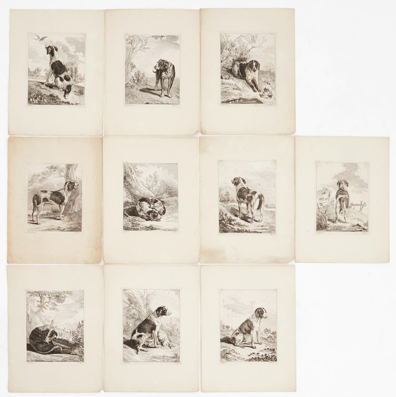 DESPORTES (efter), Chiens de Chasse, 10 etsningar, ca 1770.