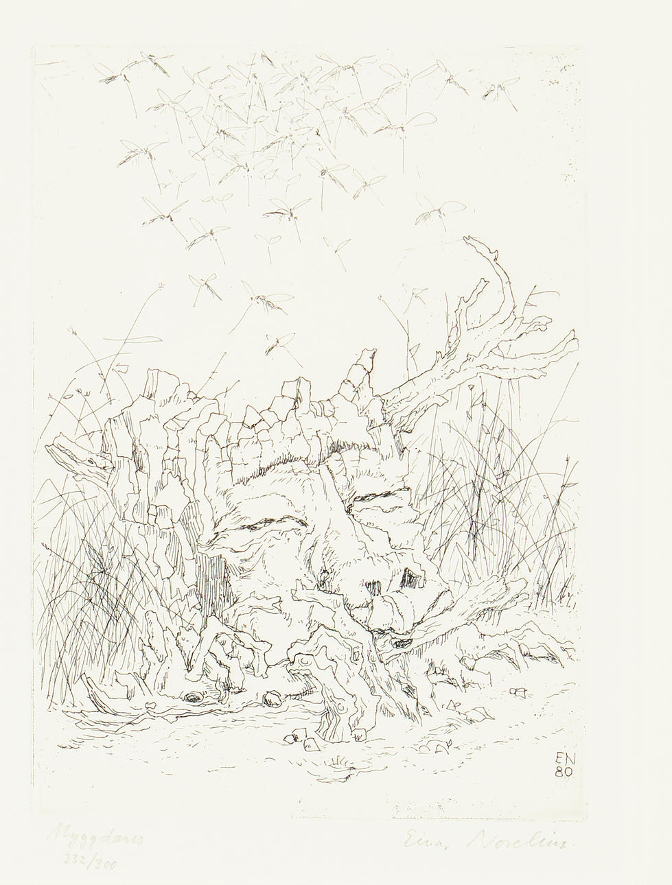 EINAR NORELIUS. “Mosquito Dance”.